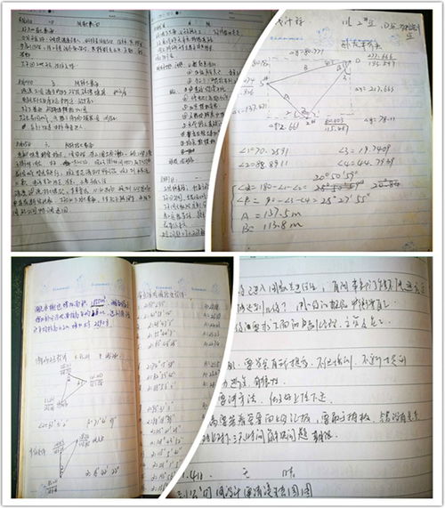 卓越校友回歸母校，悉心指導助力成長——湖南環境生物職業技術學院校友分享會側記